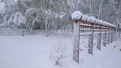 Snow in Panevėžys