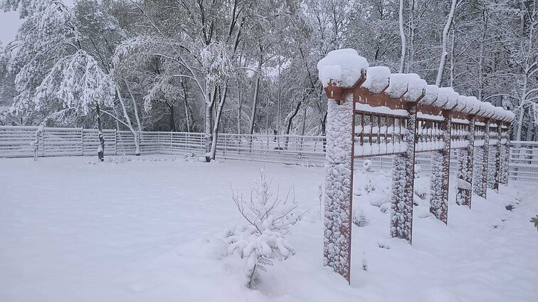 Snow in Panevėžys