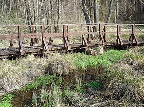 Bobos daržo šaltinis