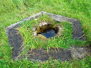 Rangavos alko šaltinis