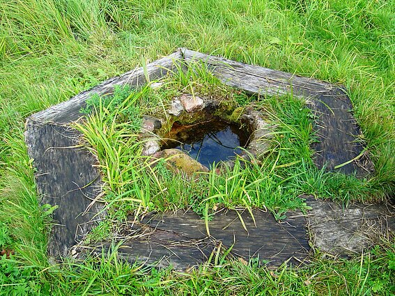 Rangavos alko šaltinis