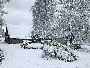 Snow in Molėtai district