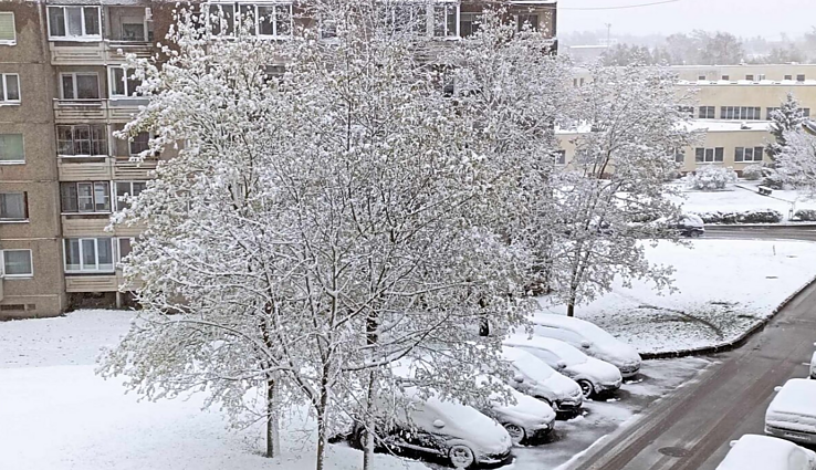 Klimatologas: dėl mūsų sukeltos klimato kaitos gamta moka didelę kainą