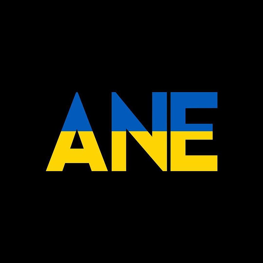 Tinklaraščio ANE logotipas, Tinklaraščio ANE logotipas