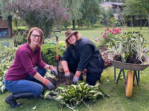 Seno gėlyno rekonstrukcija: kaip iškasti senus augalus ir kokius įrankius tam naudoti?