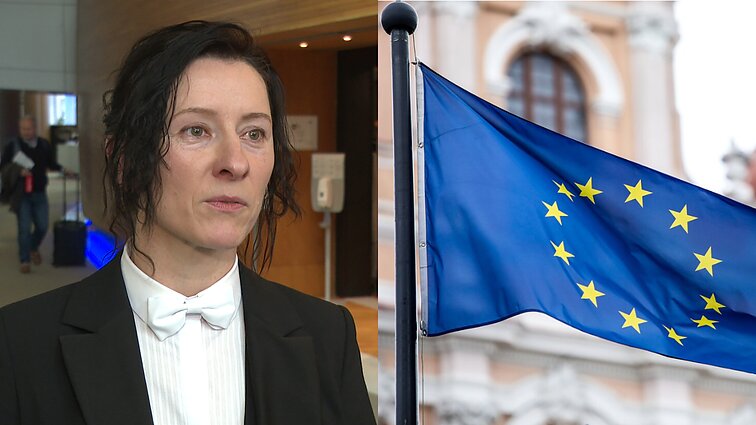 Lietuvos prisijungimą prie ES prisiminusi EP tvarkdarė: tada pajutau, kad Europa pasikeitė