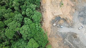 Miškų kirtimas Malaizijoje, čia bus įrengtos aliejinių palmių plantacijos Miškų kirtimas Malaizijoje, čia bus įrengtos aliejinių palmių plantacijos