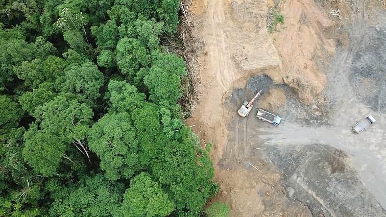 Miškų kirtimas Malaizijoje, čia bus įrengtos aliejinių palmių plantacijos Miškų kirtimas Malaizijoje, čia bus įrengtos aliejinių palmių plantacijos
