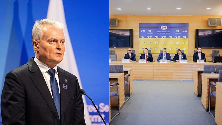 Politologas apie kirtį Pranešėjo komisijai: nuostabi dovana Nausėdai