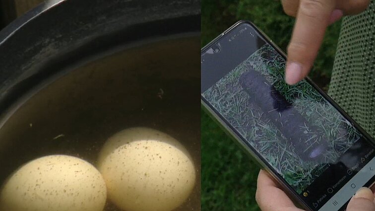 Dalis molėtiškių vandens iš čiaupo neduoda net gyvūnams: teigia, kad ant filtrų – kirmėlės