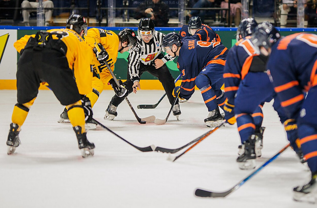Pasaulio ledo ritulio čempionatas. I diviziono B grupė. Lietuva – Nyderlandai