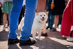 Profsąjungų rengiamas mitingas ir eitynės Vilniuje