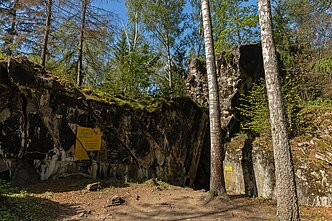 Adolfo Hitlerio Vilko guolio bunkeris Lenkijoje