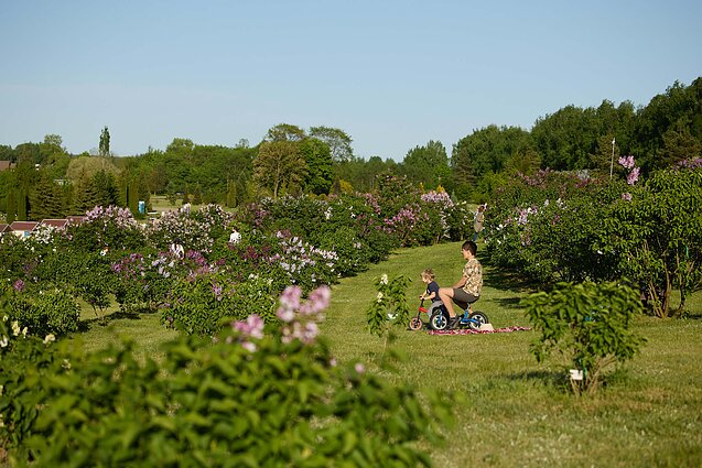 Ogród Botaniczny UW w Kojranach Ogród Botaniczny UW w Kojranach