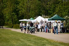 Ogród Botaniczny UW w Kojranach Ogród Botaniczny UW w Kojranach