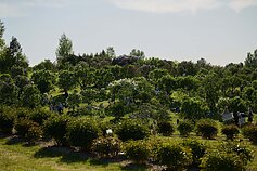 Ogród Botaniczny UW w Kojranach Ogród Botaniczny UW w Kojranach