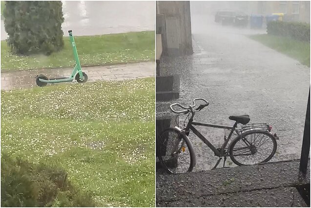 Deimantės Š.  ir Vaido J. vaizdo įrašo stop kadras
