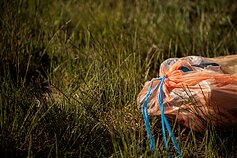 Šiukšlės ir eilės Baltarusijos pasienyje