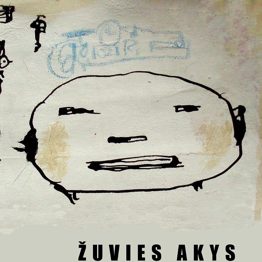 Paulina Pukytė. „Žuvies akys“