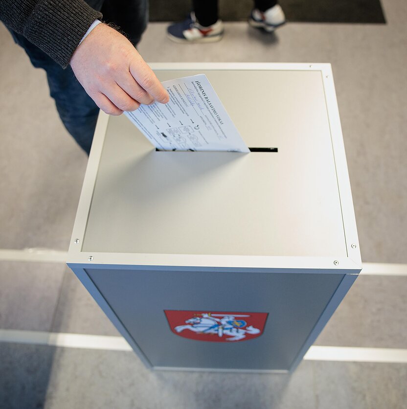 V. Raupelio  / LRT nuotr., Gegužės 7-ąją prasidėjo išankstinis balsavimas