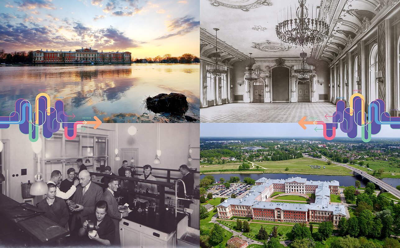 Pałac barokowy w Jełgawie Pałac barokowy w Jełgawie