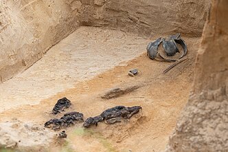 Verkių dvarvietės parke Vilniuje archeologai rado 13–14 amžių kapus