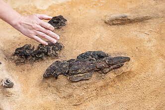 Verkių dvarvietės parke Vilniuje archeologai rado 13–14 amžių kapus