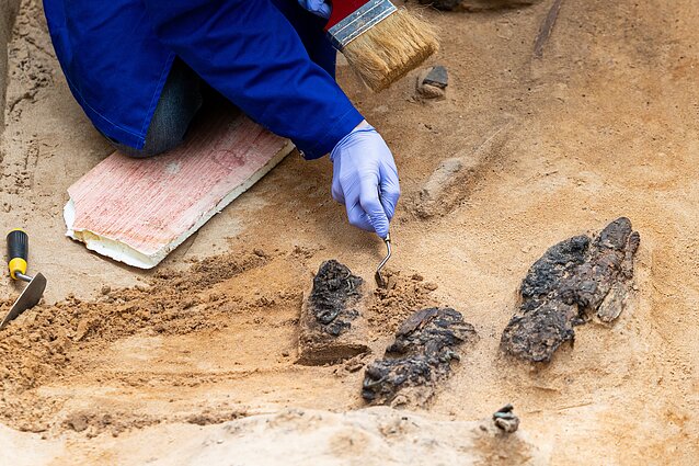 Verkių dvarvietės parke Vilniuje archeologai rado 13–14 amžių kapus