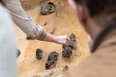 Verkių dvarvietės parke Vilniuje archeologai rado 13–14 amžių kapus
