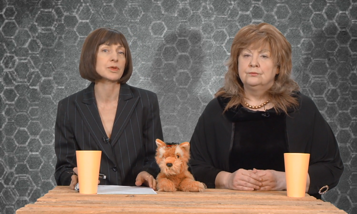 Dviračio žinios. Vilija Blinkevičiūtė: Nausėdos palaikymas buvo klaida