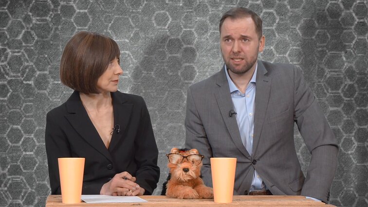 Dviračio žinios. Politologijos ABC: antrasis prezidento rinkimų turas