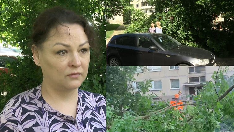 Vilniečiai nerimauja dėl saugumo – kieme krentantys medžiai ir šakos gadina automobilius