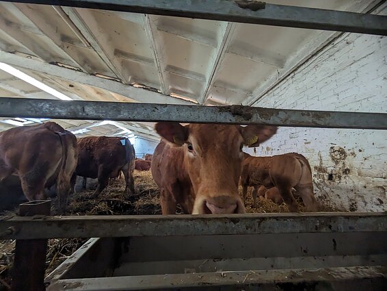 Kelionė po Utenos kraštą