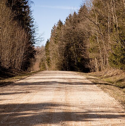 Blogiems valstybiniams keliams sutvarkyti reikia 5 mlrd. eurų - iš kur tiek paimti?