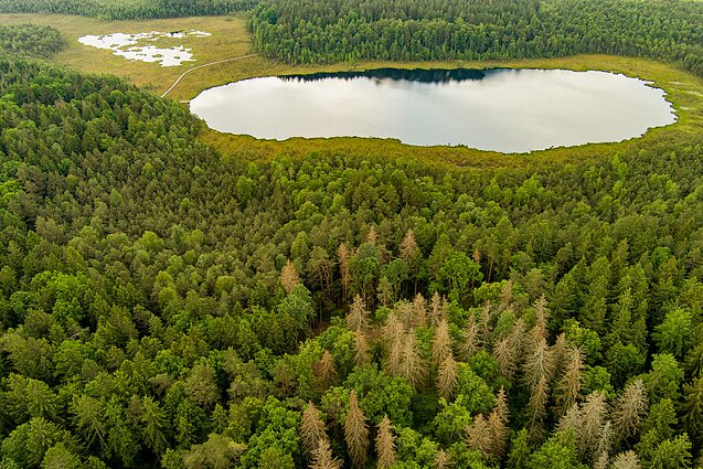 Varnikų pažintinis takas