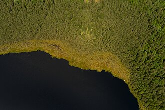 Varnikų pažintinis takas