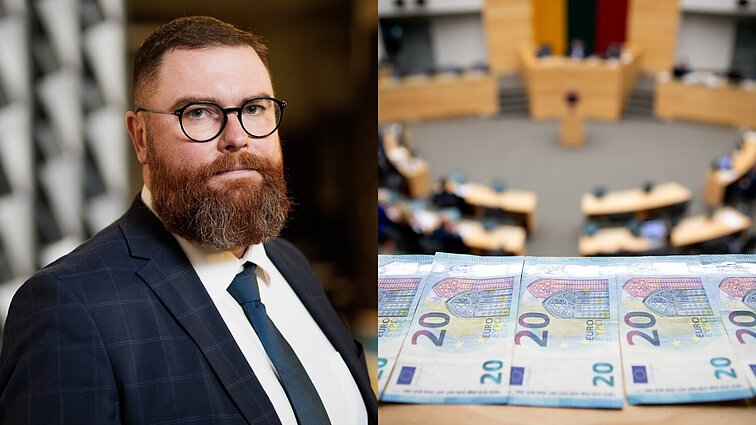 Dubnikovas įvertino naują gynybos fondo paketą: einama sudėtingu ir keistu keliu