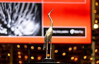 „Sidabrinė gervė“: penki filmai, kurie praeitąmet kino salėse surinkę daugiausia žiūrovų