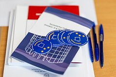 Голосування на виборах до Європарламенту
