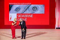 Apdovanojimai „Sidabrinė gervė“