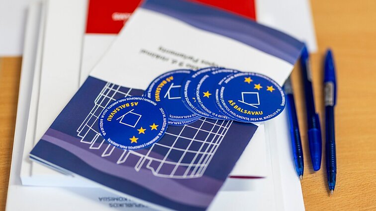 Politologė įvertino EP rinkimų rezultatus: labai didelių pokyčių neįvyko