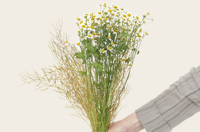 Padabinkite namus žiedais: floristės patarimai norintiems būstą pasipuošti lauko gėlėmis