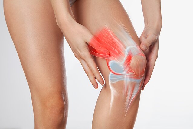 Kelio sąnario meniskas