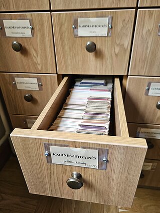 Lietuvių tremtinių ir politinių kalinių dainų archyvas. Lietuvių literatūros ir tautosakos institutas, Dainyno skyrius