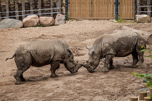 Lietuvos zoologijos sodas