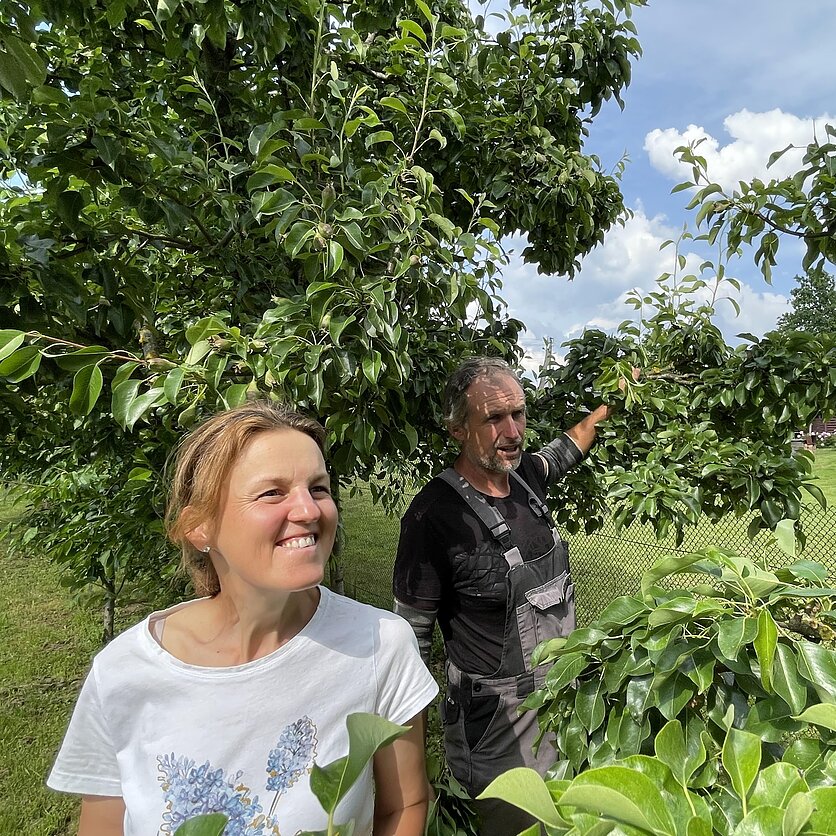 N. Dvarionaitės nuotr., Profesionalūs sodininkai pataria, kokių darbų nevalia pamiršti birželį