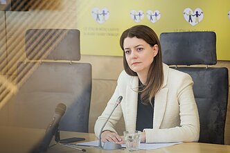 Monikos Navickienės spaudos konferencija