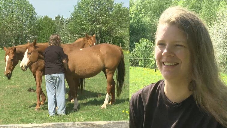 Ievos pievose ganosi žirgai, kuriais nejodinėjama: man ramu ir gera, kai arkliai yra čia