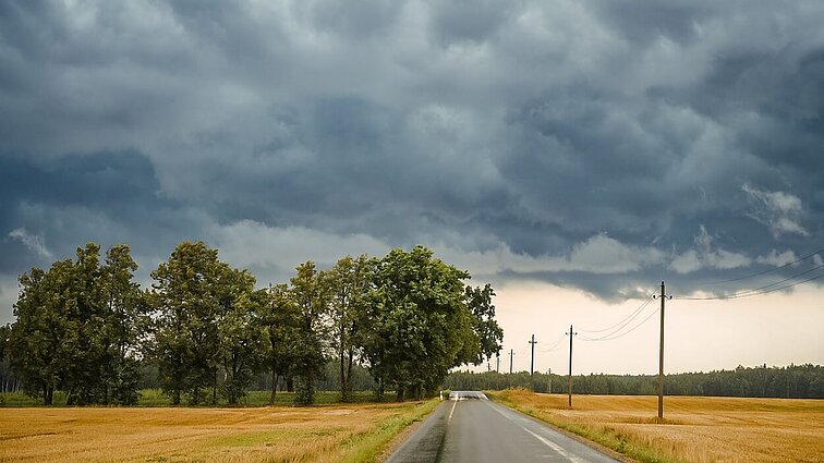 Sinoptikas prognozuoja audringiausią savaitės dieną: siaus smarkūs vėjai, liūtys