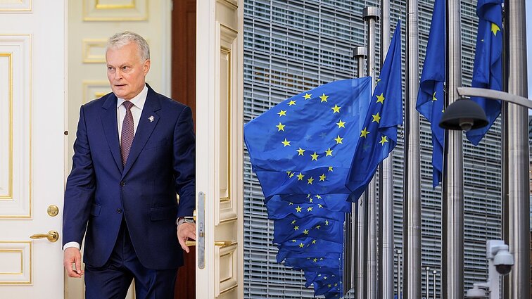 Vilpišauskas apie svarbių ES postų dalybas: Nausėdai svarbiau vidaus politikos kovos